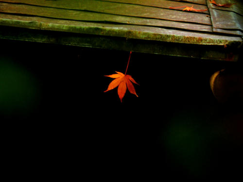 kinjo081206_018.jpg