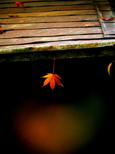 kinjo081206_020.jpg