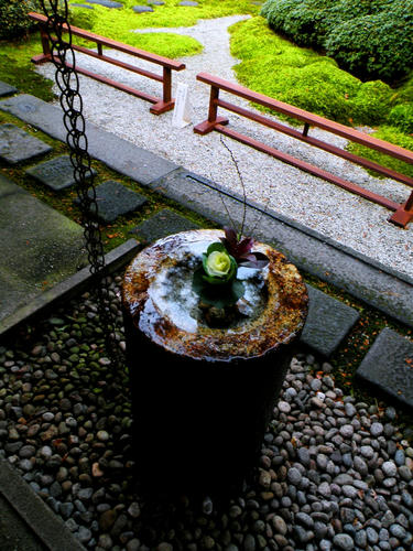 shibuonsen081213_003.jpg