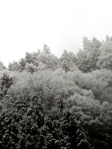 shibuonsen081213_014.jpg