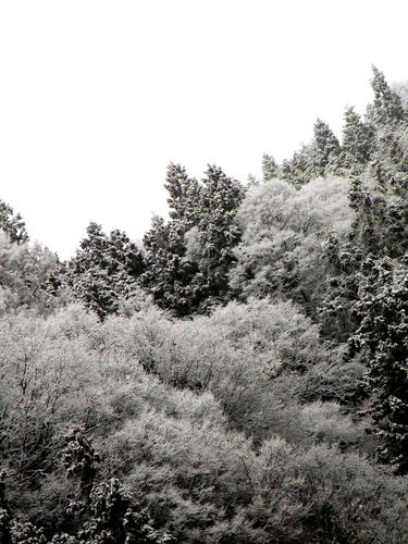 shibuonsen081213_017.jpg