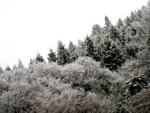 shibuonsen081213_018.jpg