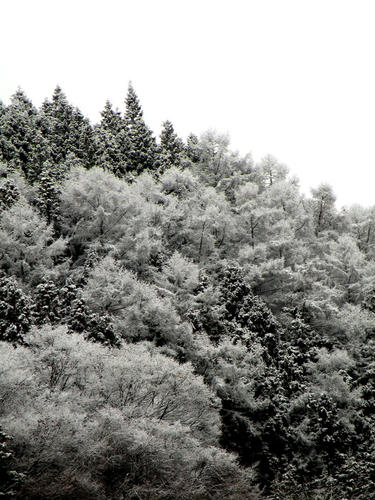 shibuonsen081213_022.jpg
