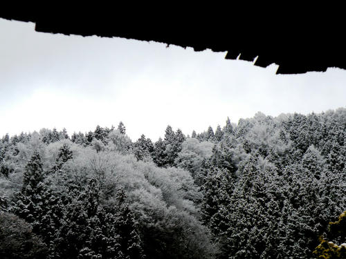shibuonsen081213_030.jpg