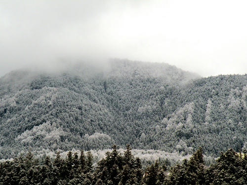 shibuonsen081213_031.jpg