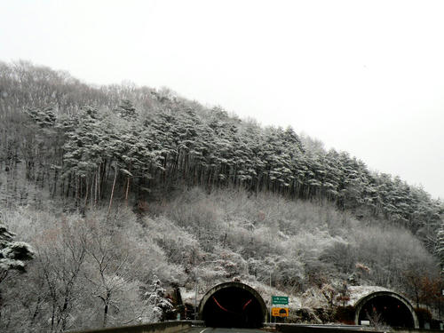 shibuonsen081213_032.jpg