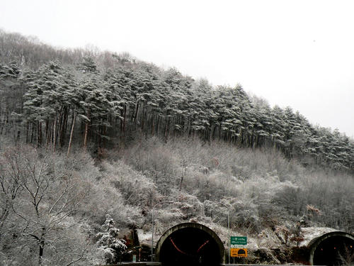 shibuonsen081213_033.jpg