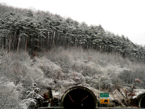 shibuonsen081213_034.jpg