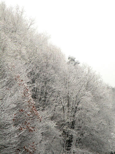 shibuonsen081213_036.jpg