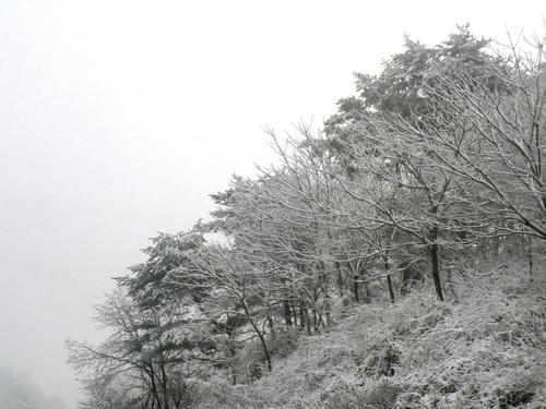 shibuonsen081213_041.jpg