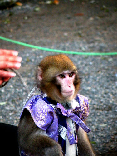 asakusa081220_027.jpg