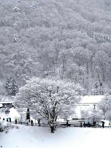 shirakawago090101_085.jpg