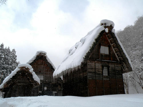 shirakawago090102_011.jpg