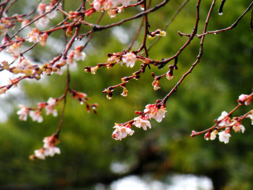 shirakawago090102_044.jpg