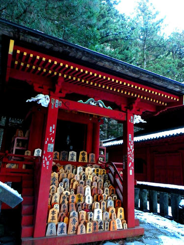nikko090110_009.jpg