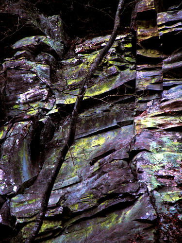nikko090110_021.jpg