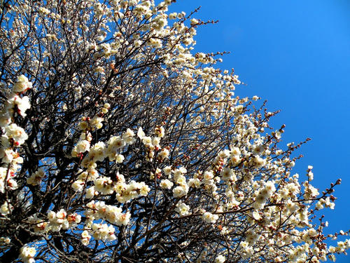 kinjo090201_001.jpg