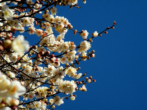 kinjo090201_002.jpg