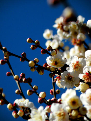 kinjo090201_003.jpg