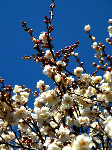kinjo090201_004.jpg