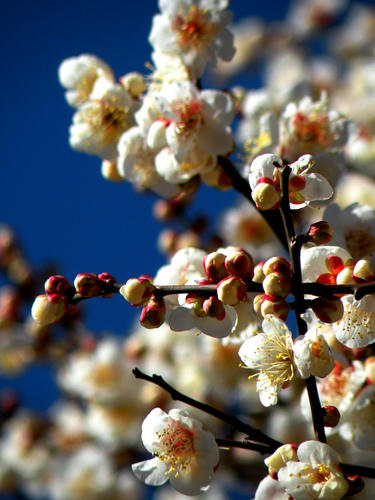 kinjo090201_005.jpg