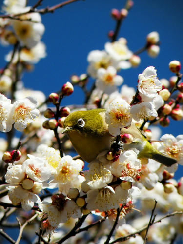 kinjo090201_007.jpg