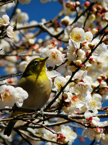 kinjo090201_010.jpg