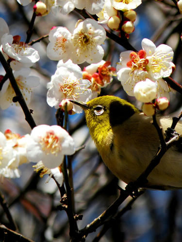 kinjo090201_012.jpg