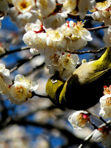 kinjo090201_014.jpg