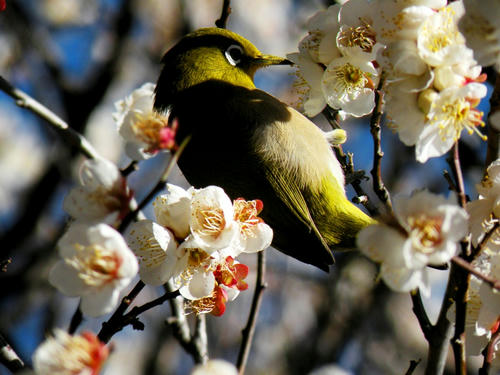 kinjo090201_015.jpg