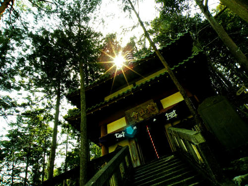 okutama090321_008.jpg