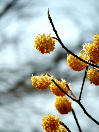 okutama090321_012.jpg
