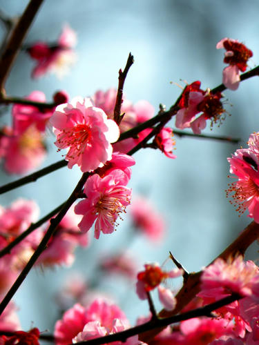 okutama090321_013.jpg