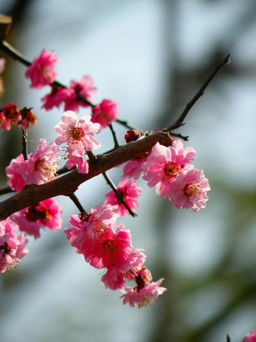 okutama090321_014.jpg