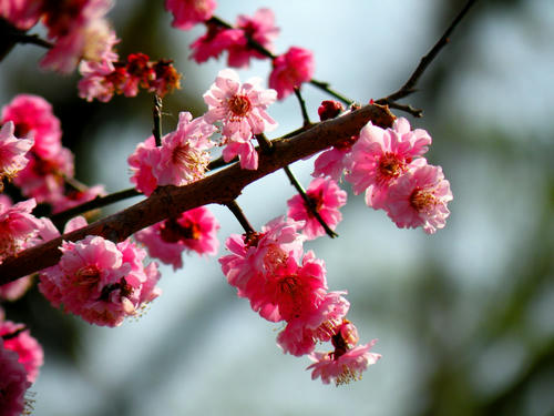 okutama090321_015.jpg