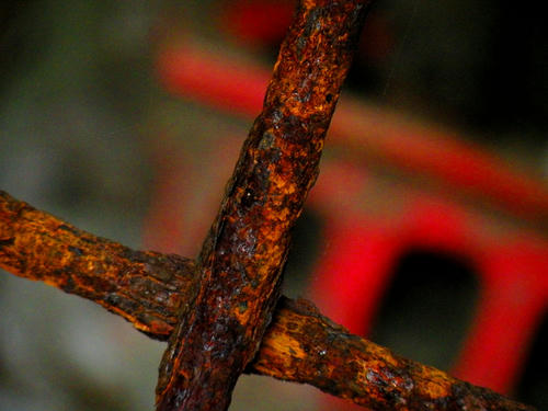miurahanto090329_012.jpg