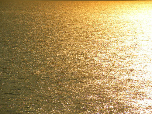 miurahanto090329_028.jpg