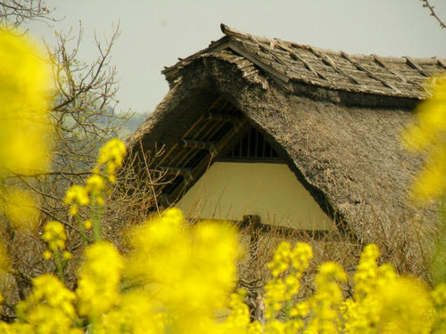 koma090412_kominka07.jpg