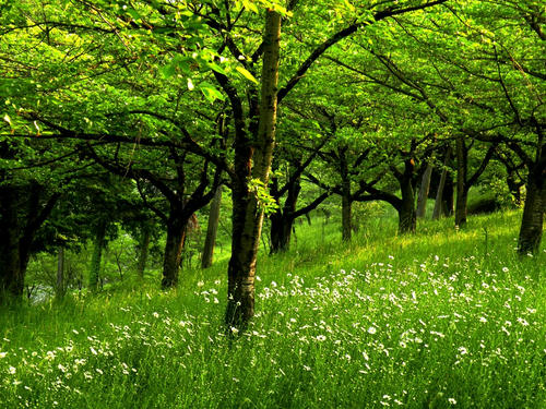 hitsujiyama090502_041.jpg