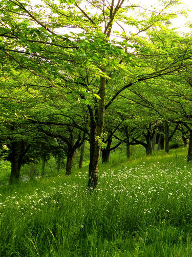 hitsujiyama090502_042.jpg
