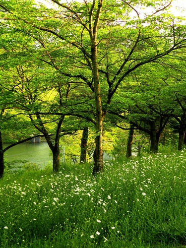 hitsujiyama090502_043.jpg