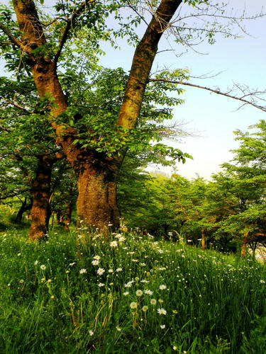 hitsujiyama090502_044.jpg