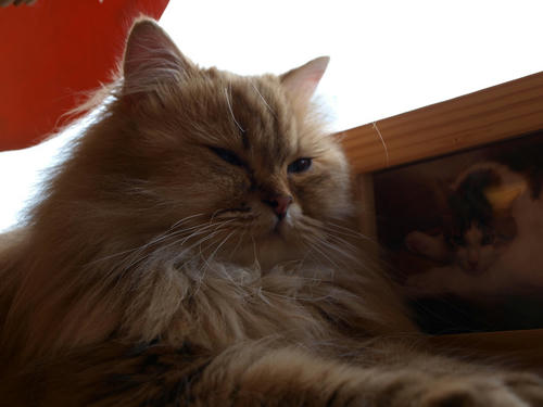 P1010032.JPG