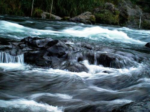 P2122012.JPG