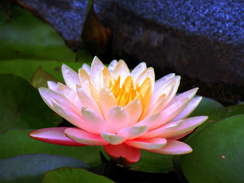 DSCN3901.jpg