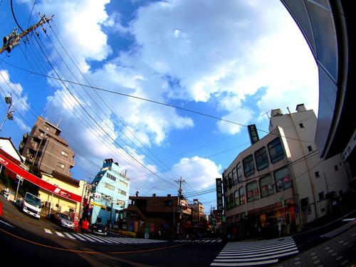 P2042392.JPG