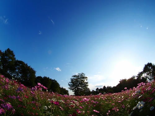 P2102642.JPG