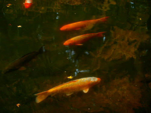 P2054902.JPG