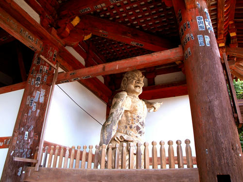 P2305642.JPG