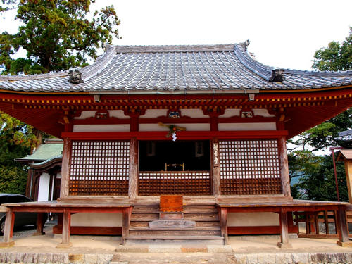 P2305650.JPG